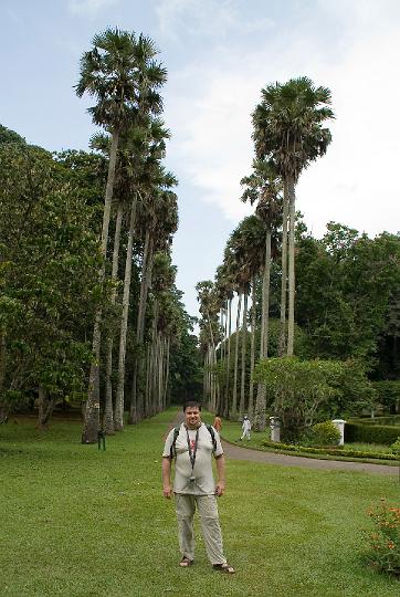 74.jpg - Шри Ланка - Королевский парк-   май  2006